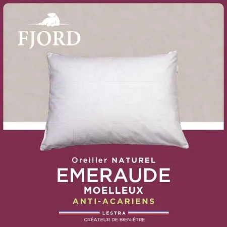 Oreiller Lestra Emeraude 90% Duvet